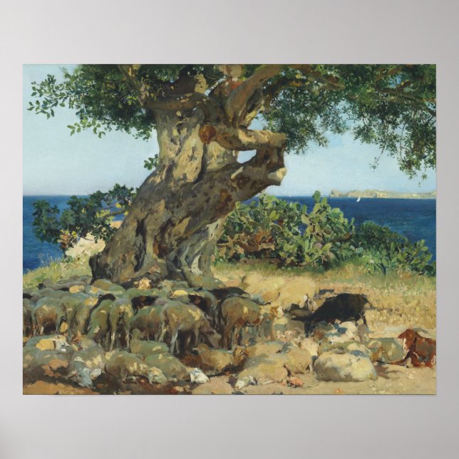 Joaquin Sorolla - Der Johannisbrotbaum Poster (Vorne)