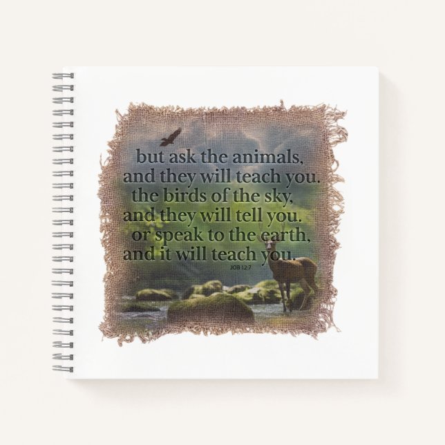 JOB 12:7 - Journal Notizbuch (Vorderseite)