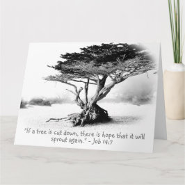 JOB 14:7 Grande carte de voeux pliée