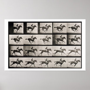 Jockey on a galloping horse, plate 627 from 'Anima Poster