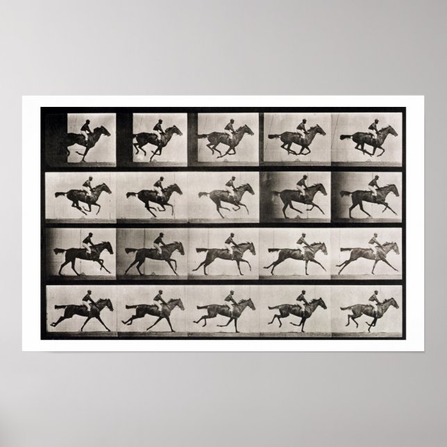 Jockey on a galloping horse, plate 627 from 'Anima Poster (Vorne)