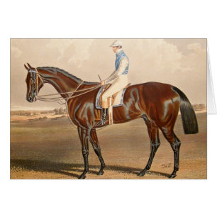 Jockey vintage Sur Hippocampe