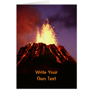 Joe Biden et Kamala Harris - Écrivez votre propre 