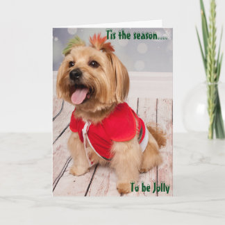 Joey erfährt die Schönheit von Weihnachten