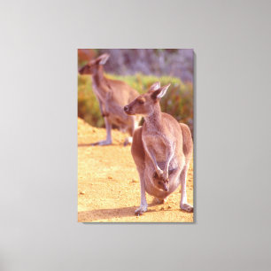 JOEY und MAMA 24 x 36 Leinwanddruck