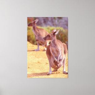 JOEY und MAMA 40x60 Leinwanddruck