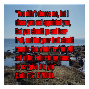 Johannes 15:16 WEBU Poster