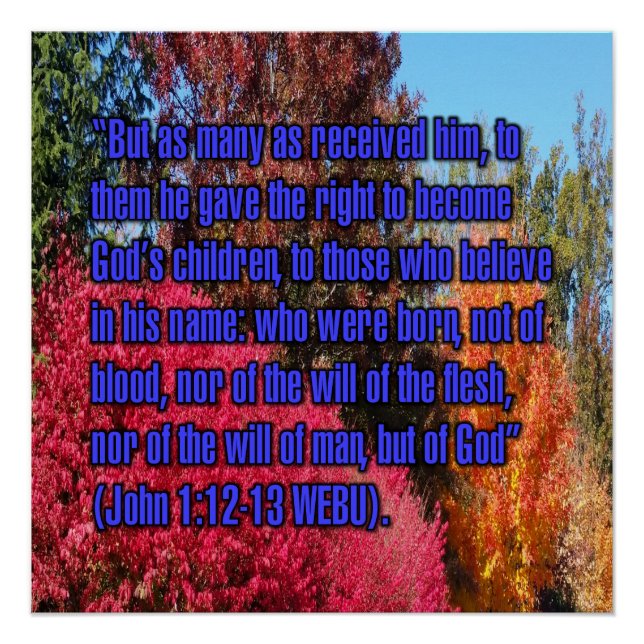 Johannes 1:12-13 WEBU Poster (Vorderseite)