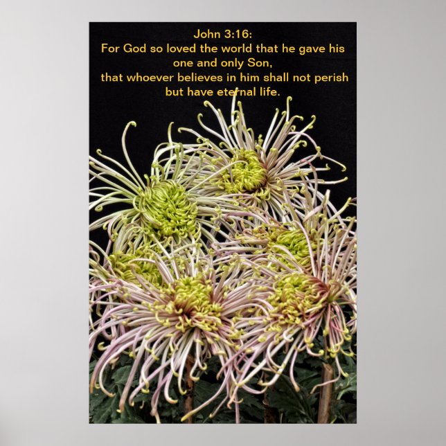 Johannes 3:16 Denn so liebte Gott die Welt Poster (Vorne)