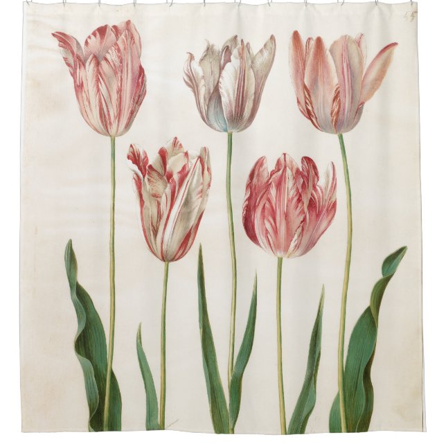 Johannes Simon Holtzbecher Tulips Duschvorhang (Vorderseite)