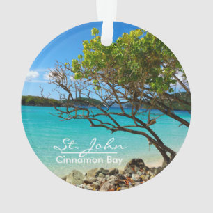 Johannes-Zimt-Bucht-Strand-runde Verzierung Ornament