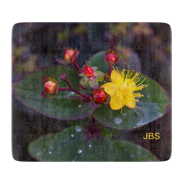Johanniskraut Gelbe Blume Personalisiert Schneidebrett (Vorderseite)