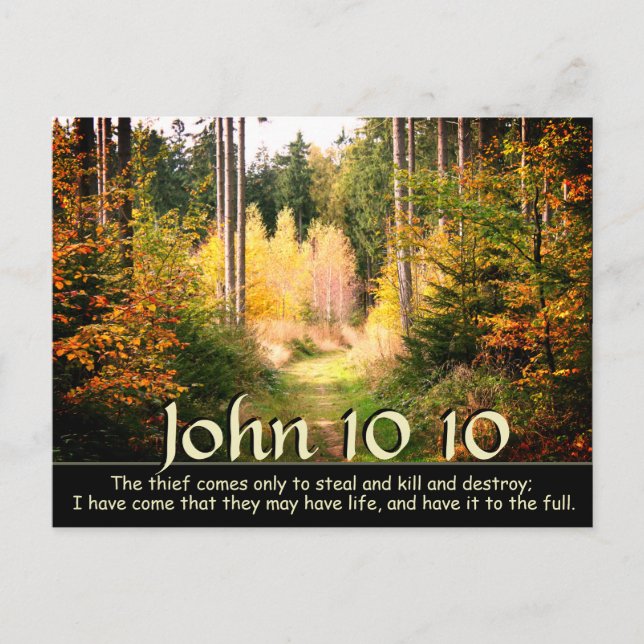 John 10 10 Ich kam, dass du das Leben in vollem Um Postkarte (Vorderseite)