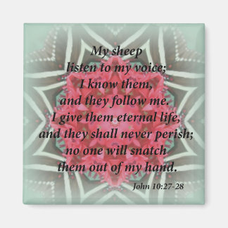 John 10:27-28 magnet