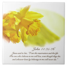 John 11:25-26, Ostern, Frühlingsgelbe Affodien