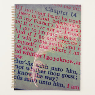 John 14
