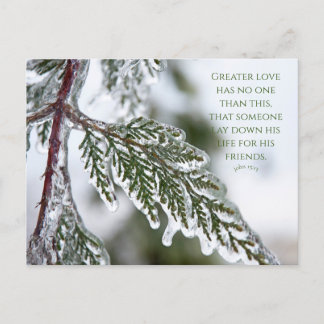 John 15:13 Icy Evergreen Postcard Postkarte