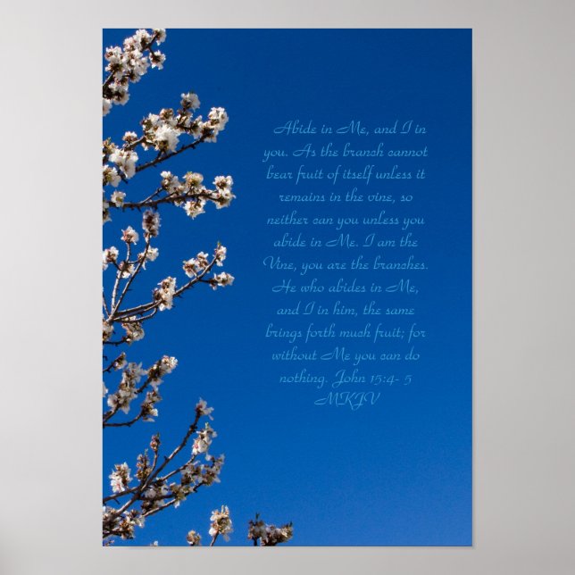 John 15:4-5 Abide Poster (Vorne)