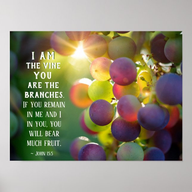 John 15:5 Ich bin der Wein Du bist die Zweige Jesu Poster (Vorne)
