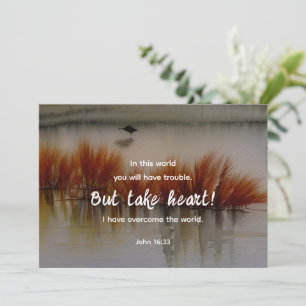 John 16:33 Ich habe Überwindung Bibel Verse Flat C