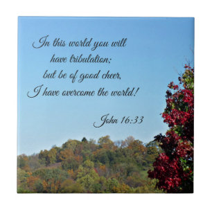 John 16:33 In der Welt wirst du... Fliese