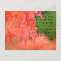 John 16:33 Roter Japanischer Ahorn Raindrop Postca