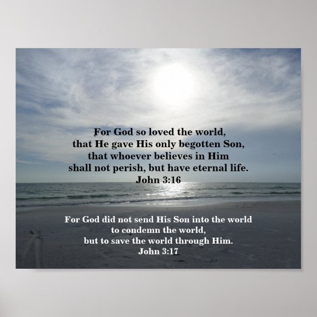 JOHN 3:16 and JOHN 3:17 Poster (Vorne)