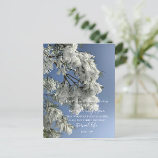 John 3:16 Benutzerdefinierter Text | Original Foto Postkarte