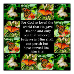 JOHN 3:16 BUTTERFLY-DESIGN POSTER