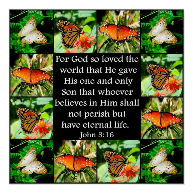 JOHN 3:16 BUTTERFLY-DESIGN POSTER (Vorderseite)