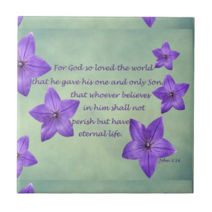 John 3:16 fliese