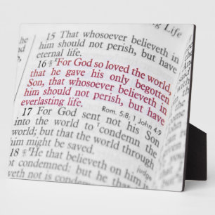 John 3:16 fotoplatte