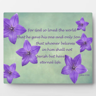 John 3:16 fotoplatte