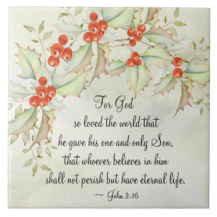 John 3:16 God so Loved the World Fliese