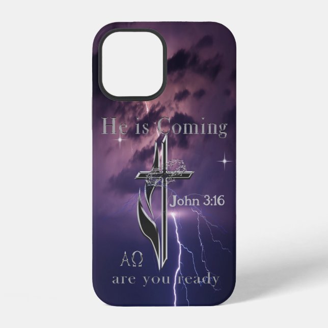 John 3:16 iPhone 12 hülle (Rückseite)