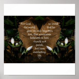 John 3:16 King-James-Basisposter Poster