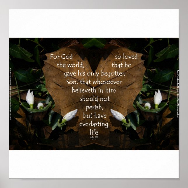 John 3:16 King-James-Basisposter Poster (Vorne)