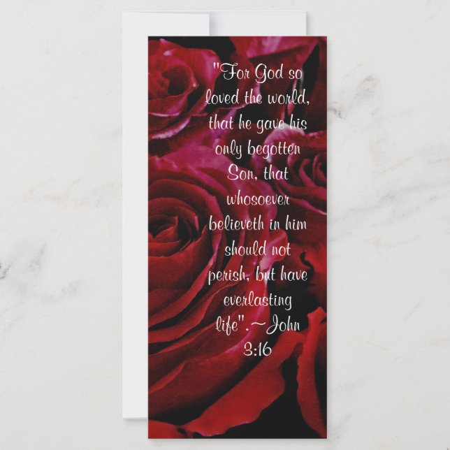 John 3:16 Rose Rackkarte (Vorderseite)