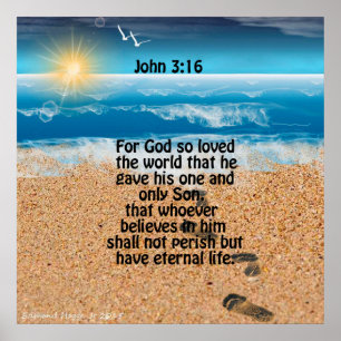 John 3:16 Schrift Poster