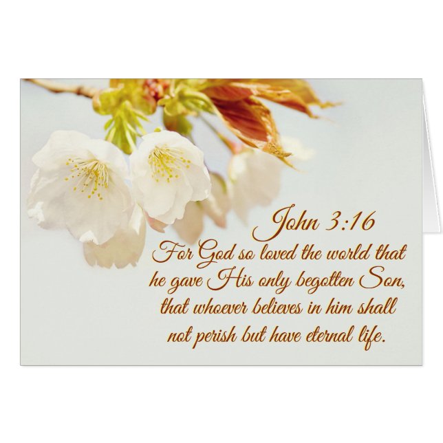 John 3:16 So liebte Gott die Welt, die Schrift (Vorderseite (Horizontal))