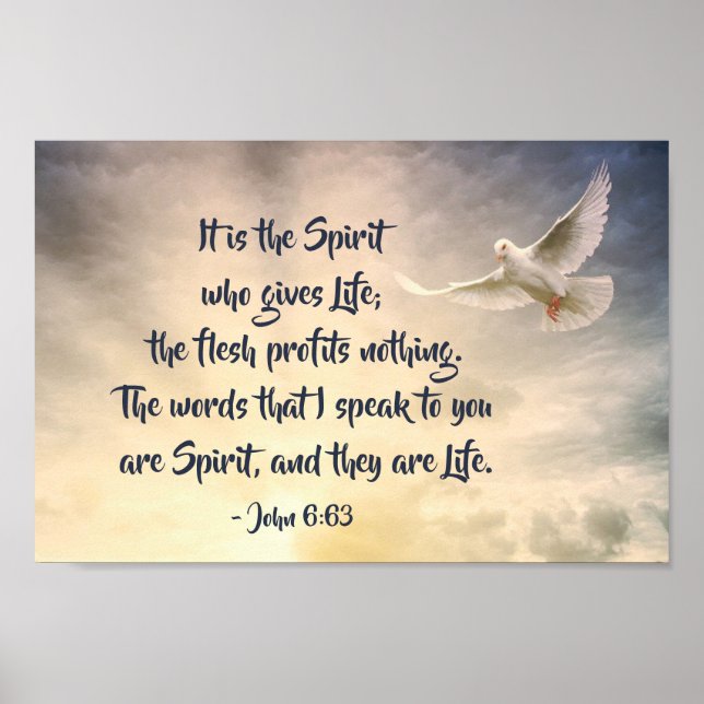 John 6:63 Es ist der Geist, der die Lebensbibel gi Poster (Vorne)