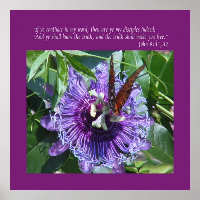 John 8 31:32 Print/Poster Poster (Vorne)