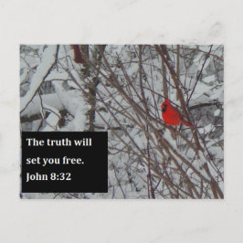 John 8:32 Scripture Post Card Postkarte