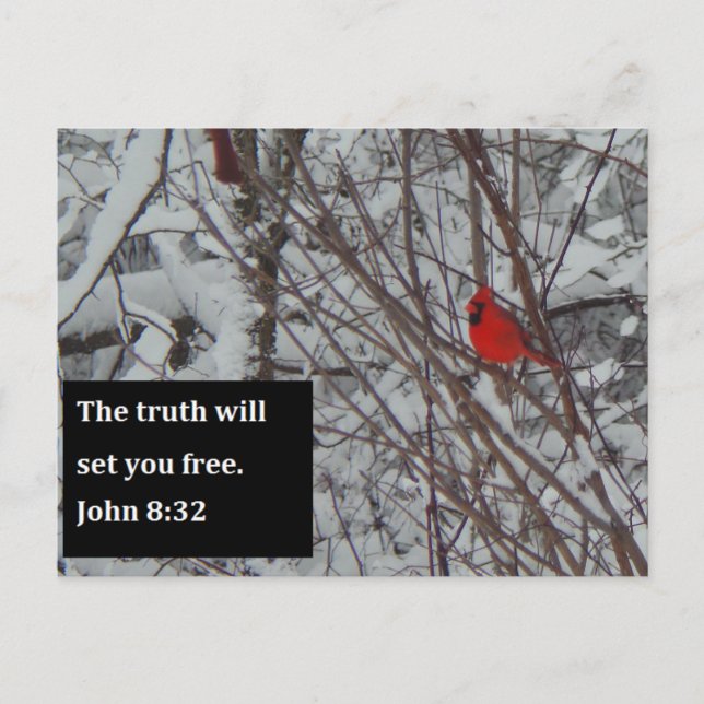 John 8:32 Scripture Post Card Postkarte (Vorderseite)