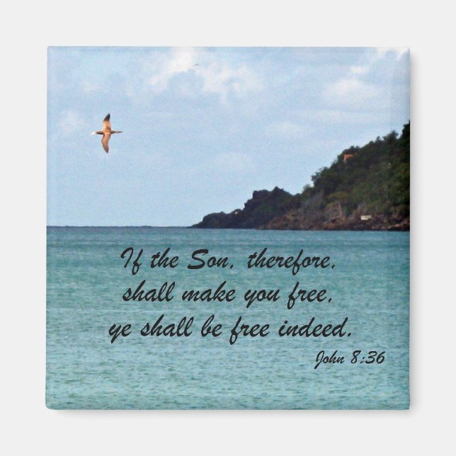 John 8:36 magnet (Vorne)