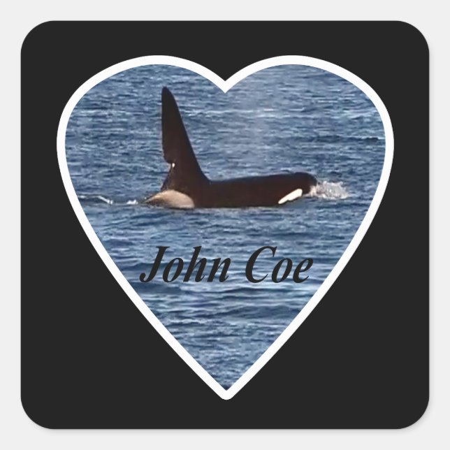 John Coe Orca Killer Whale Quadratischer Aufkleber (Vorderseite)