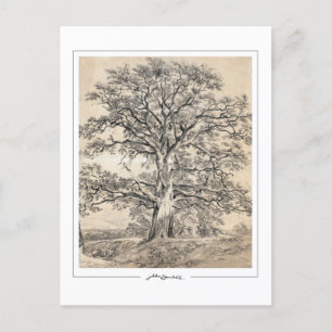 John Constable #545-2 - Carte postale Art