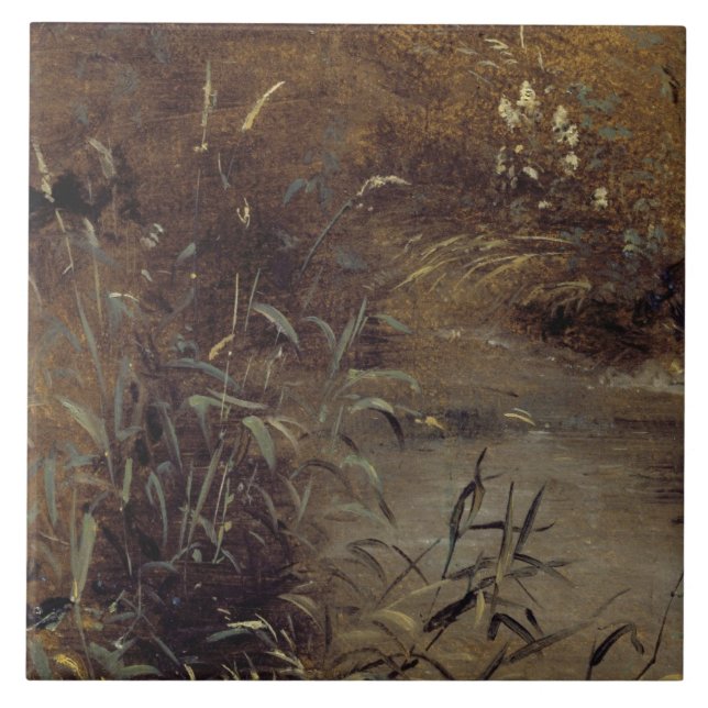 John Constable | Rost durch einen Pool, c.1821 (Öl Fliese (Vorderseite)