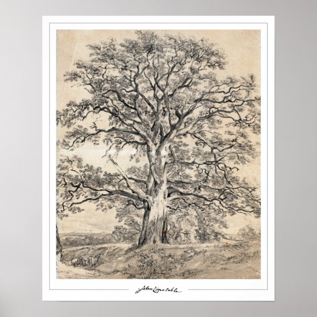 John Constable Zedign Poster d'art #545-2 (Devant)