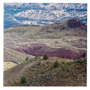 John Day Fossil Beds National Monument, Oregon Fliese